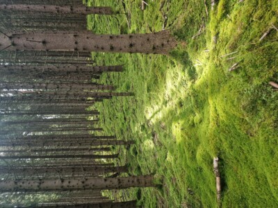 Foto: David Kampel