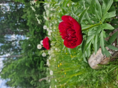 Foto: David Kampel