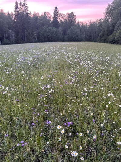 Foto: Jakob Wilhelm