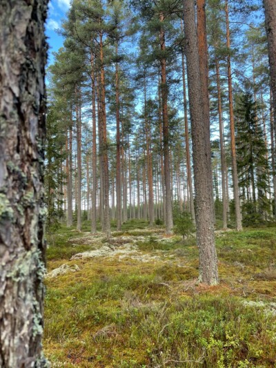 Foto: Jakob Wilhelm