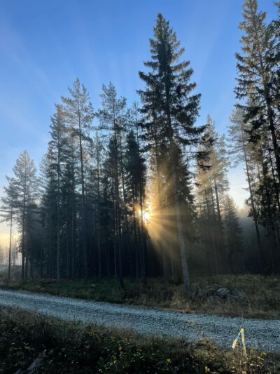 Foto: Jakob Wilhelm