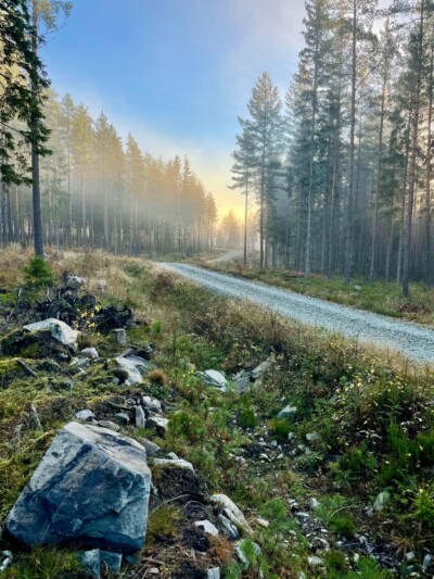 Foto: Jakob Wilhelm