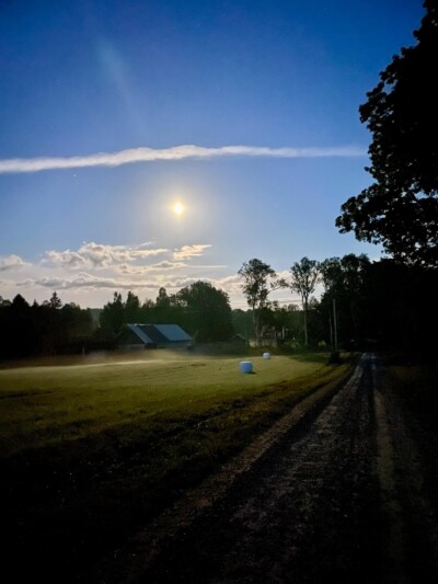 Foto: Jakob Wilhelm